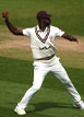 Rochford Sports